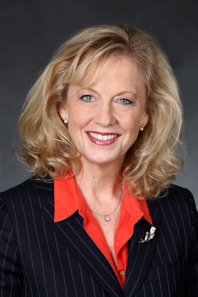 Article by Elizabeth Bowen in Today's Daily Business Review "Suit